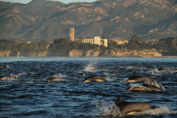 marine ecosystem protection