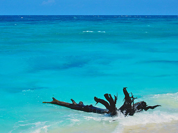 seychelles