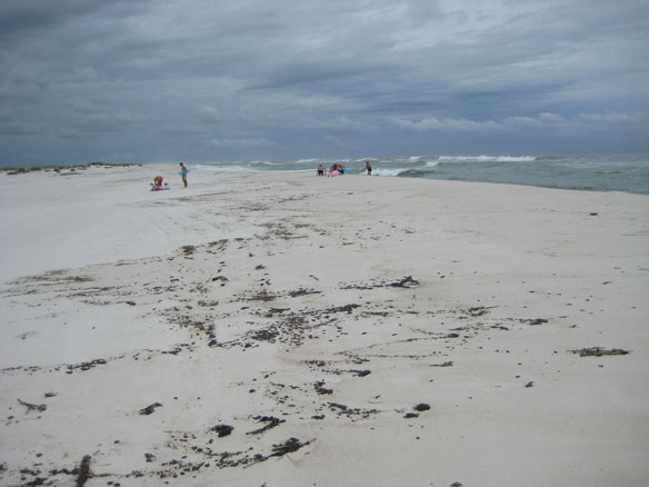 tarballs on beach