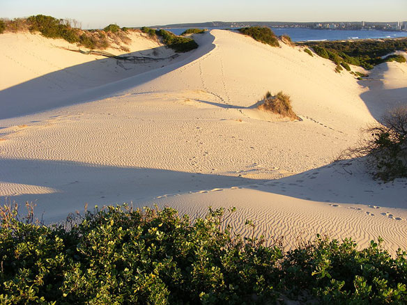 kurnel-sand-dunes