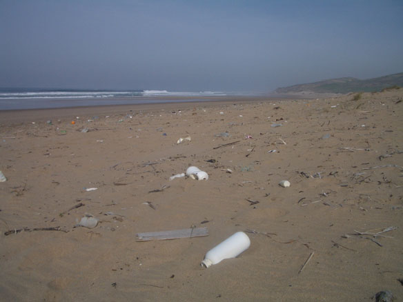 marine-plastic-pollution