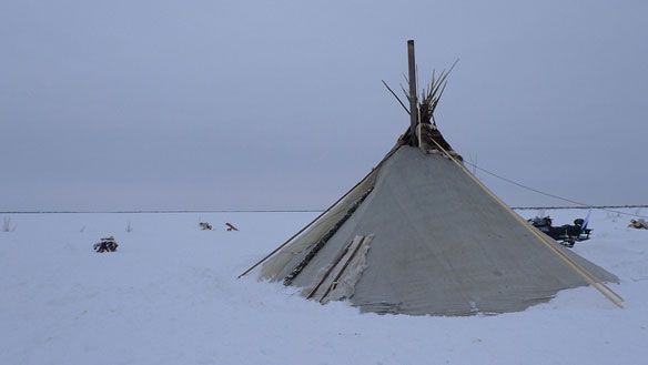 nenets-russia