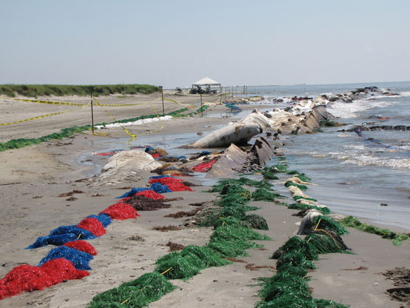 noaa-bp-oil-spill-response