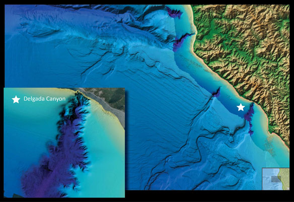 noaa-seafloor