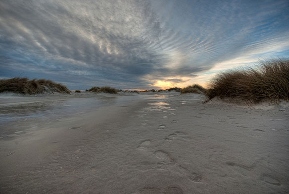 footsteps-frozen-sand