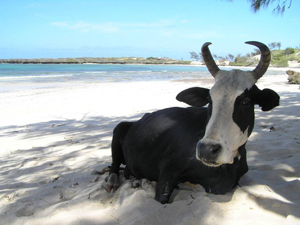 madagascar-beach