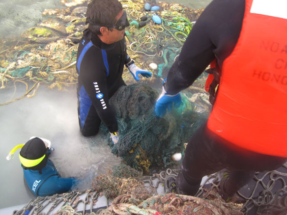 noaa-marine-pollution