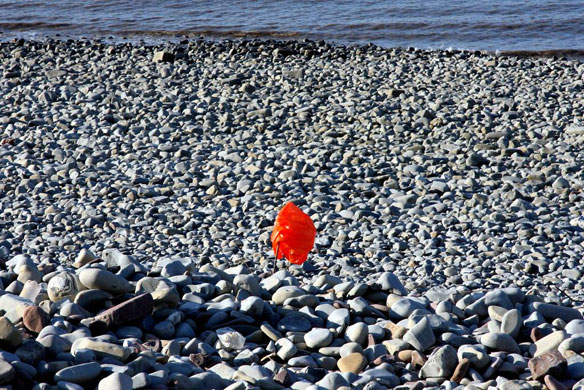 plastic-pollution-beach