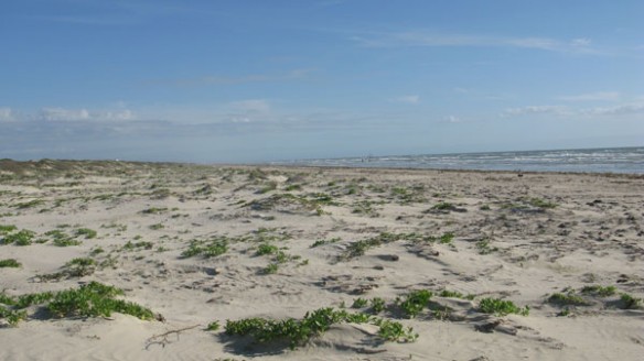 Padre-island-bom-09-2012-584