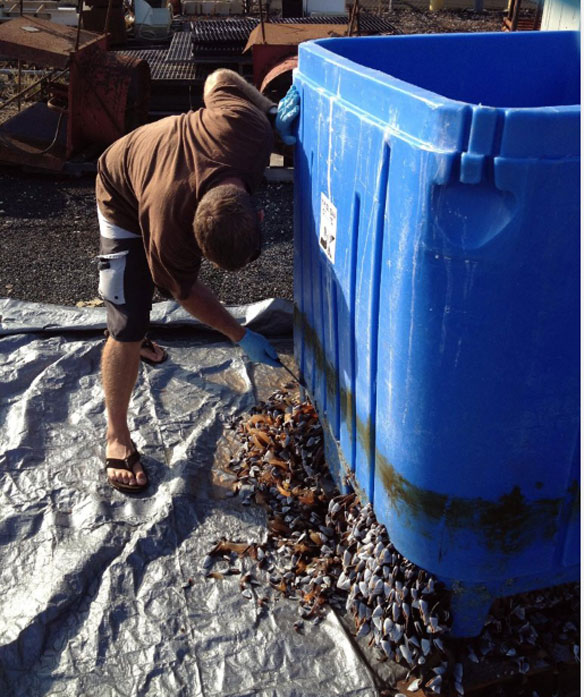 hawaii-plastic-bin-tsunami-debris