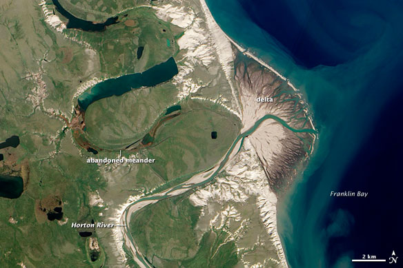 horton-delta-canada