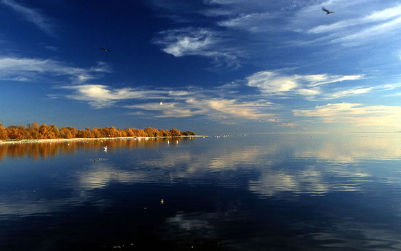 salton-sea