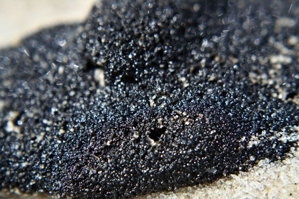 tar-beach-noaa