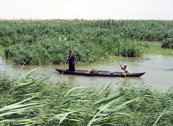 marsh-arabs