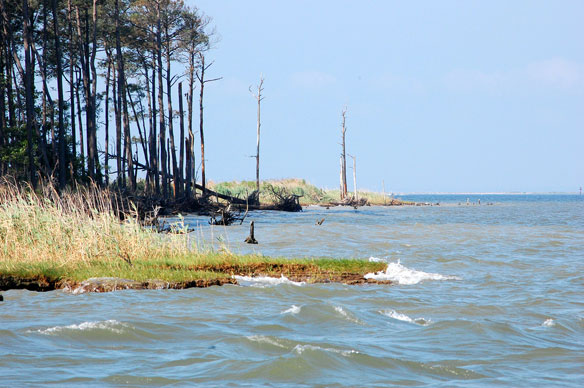 coastal-erosion