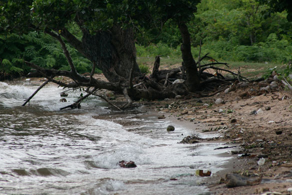 coastal-erosion