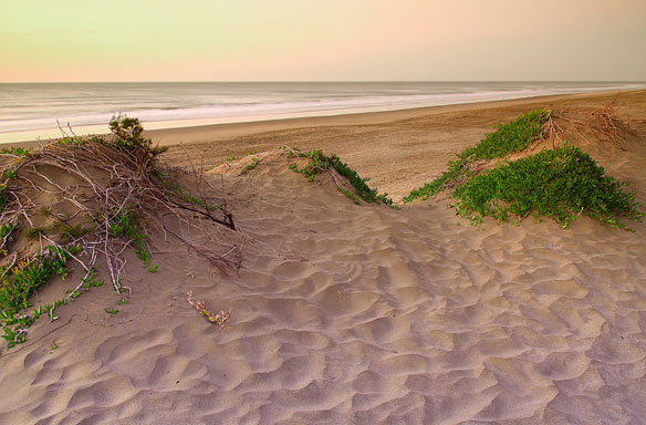 sand-dunes