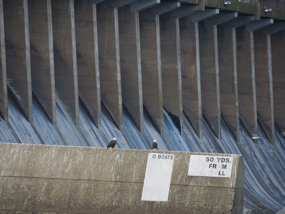 conowingo-dam-maryland