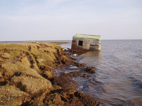 coastal-erosion-alaska-permafrost-collapse