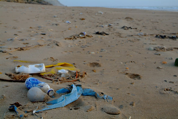 marine-debris