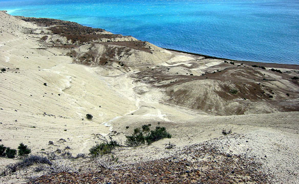 argentina-patagonia-coast