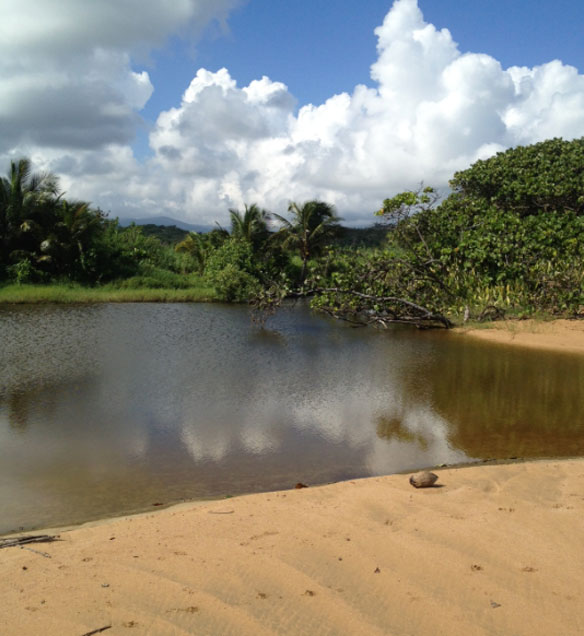 puerto-rico-coastal-reserve