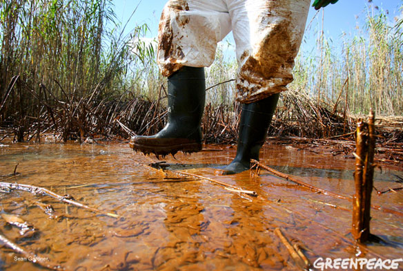 gulf-oil-spill-greenpeace