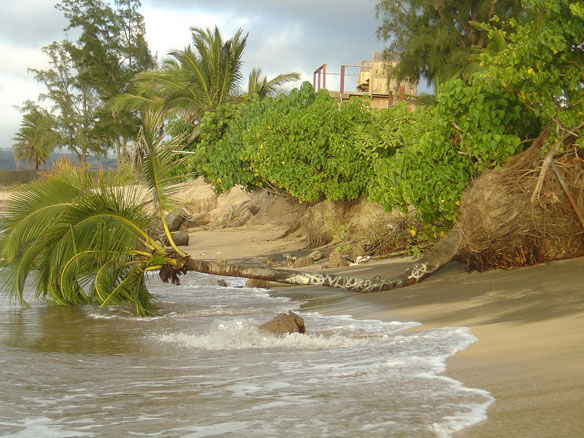 coastal-erosion-oahu