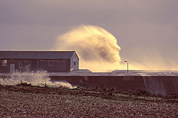 dorset-wave