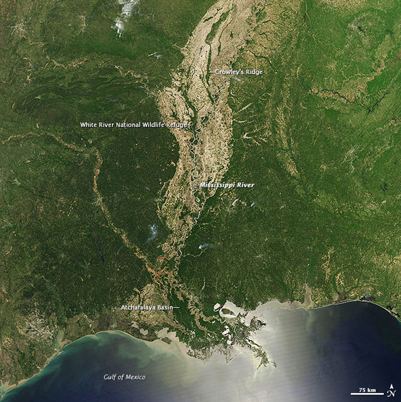 mississippi-alluvial-bassin