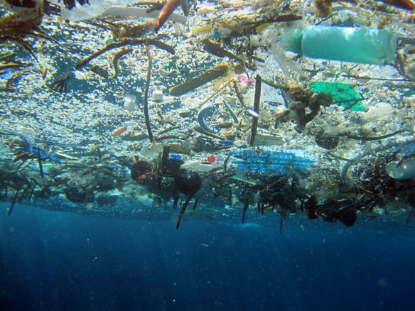plastic-pollution-below