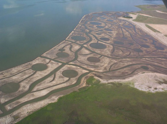 marsh-restauration-texas