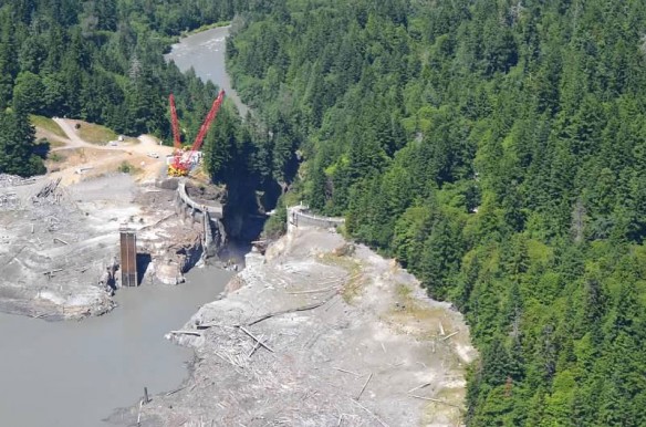 psds-elwha-dam-removal