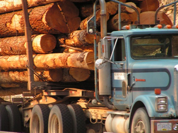 logging-canada