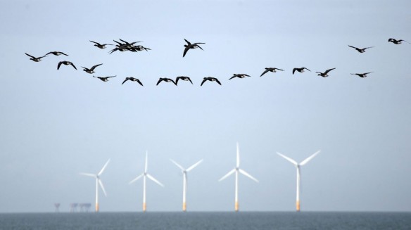 wind-turbines