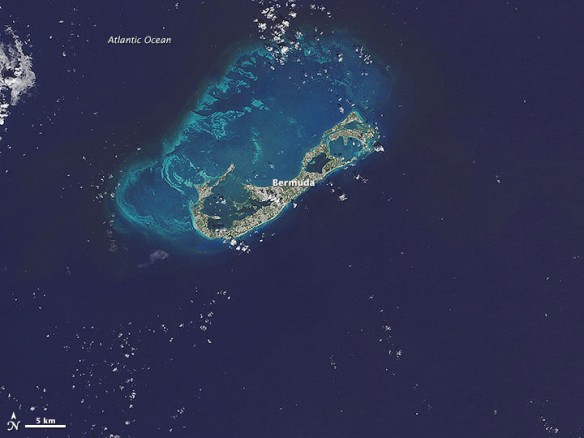 bermuda-sediment-1