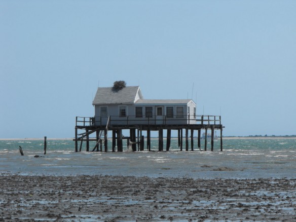 east-coast-flooding