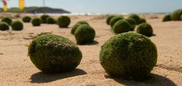 green-balls-australia-beach