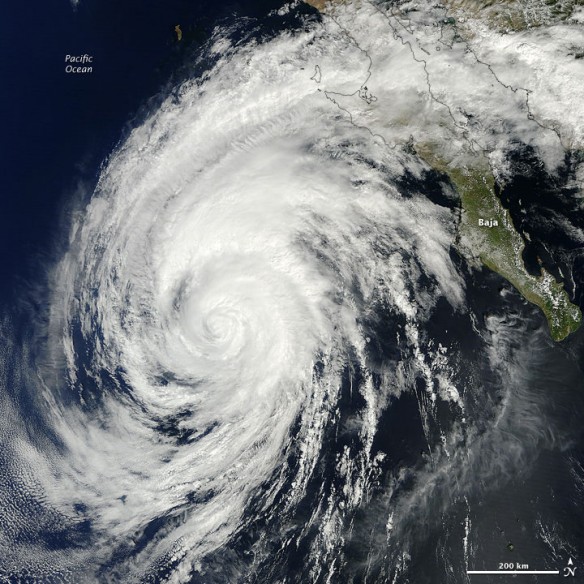 hurricane-simon