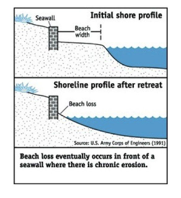 seawalls-kill-beaches