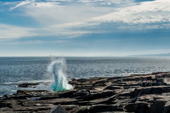 acadia-maine