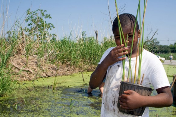 louisiana-wetland-planting-2