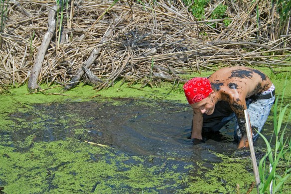 wetland-planting-louisiana-1