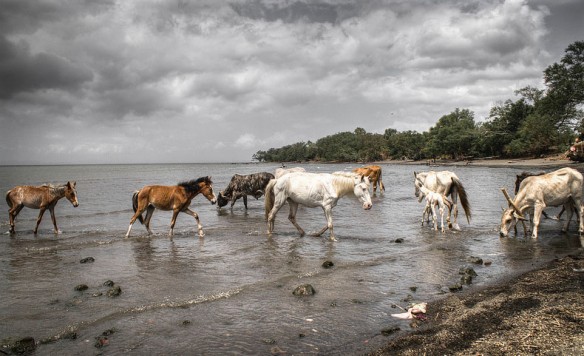 lake-nicaragua