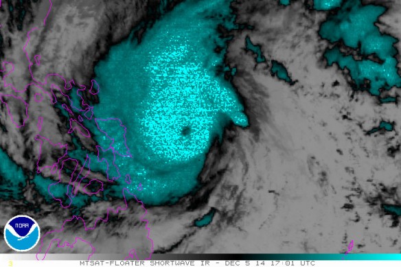 typhoon-ruby