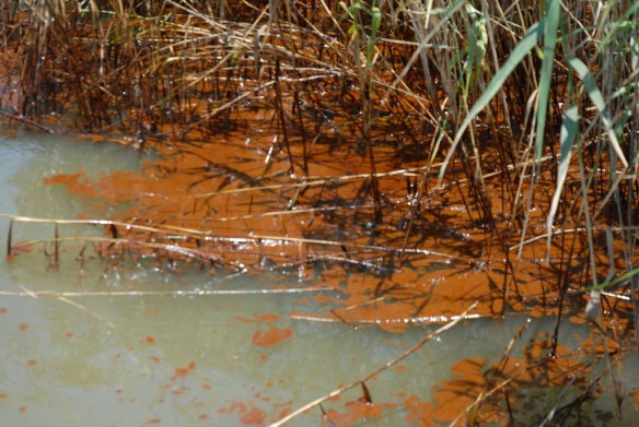 oil-pollution-louisiana