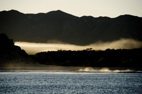 tasmania-abegg