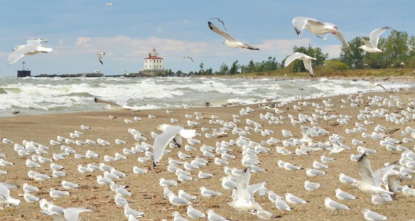 headlands-beach-oh