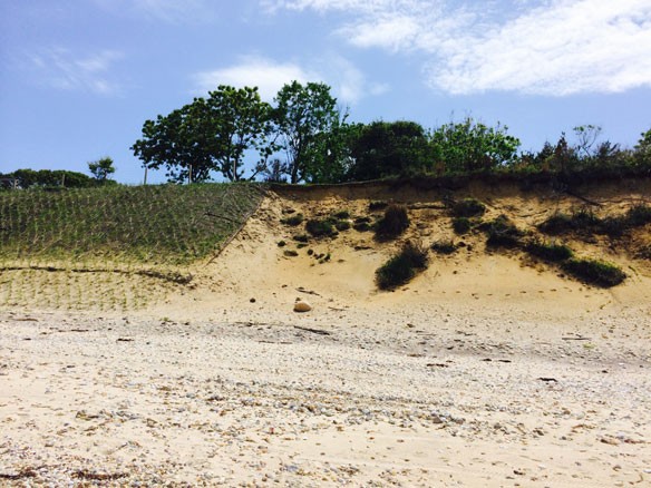 coastal-restoration-nyc