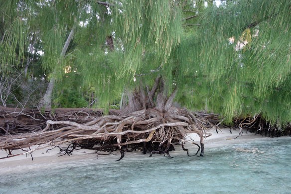 coastal-erosion